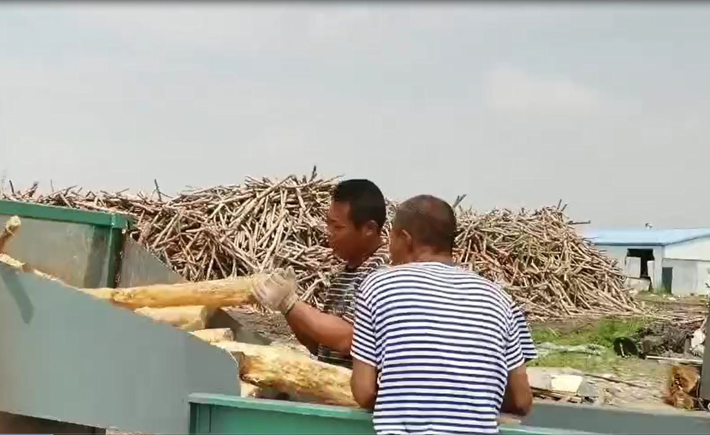 芜湖浆纸纸业的各类净片加工