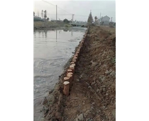 芜湖江苏河道木桩